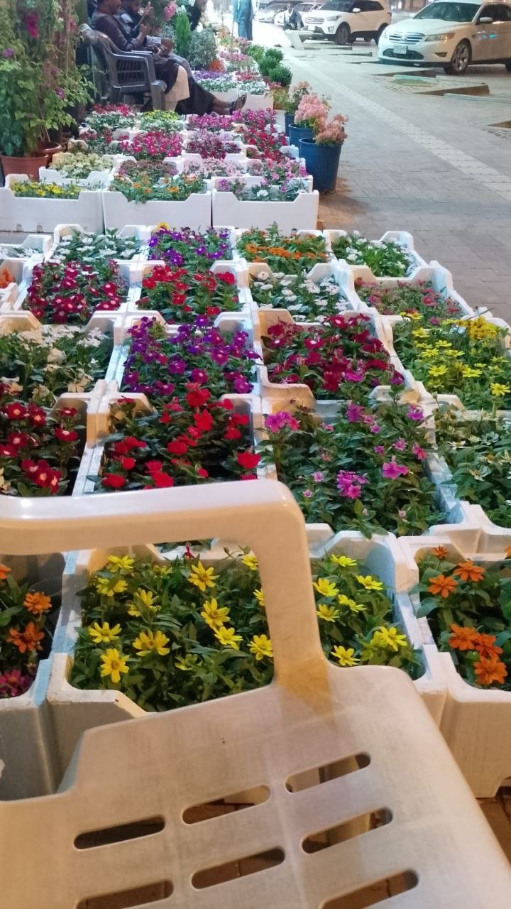 زهور طبيعية ملونة للبيع في الرياض
