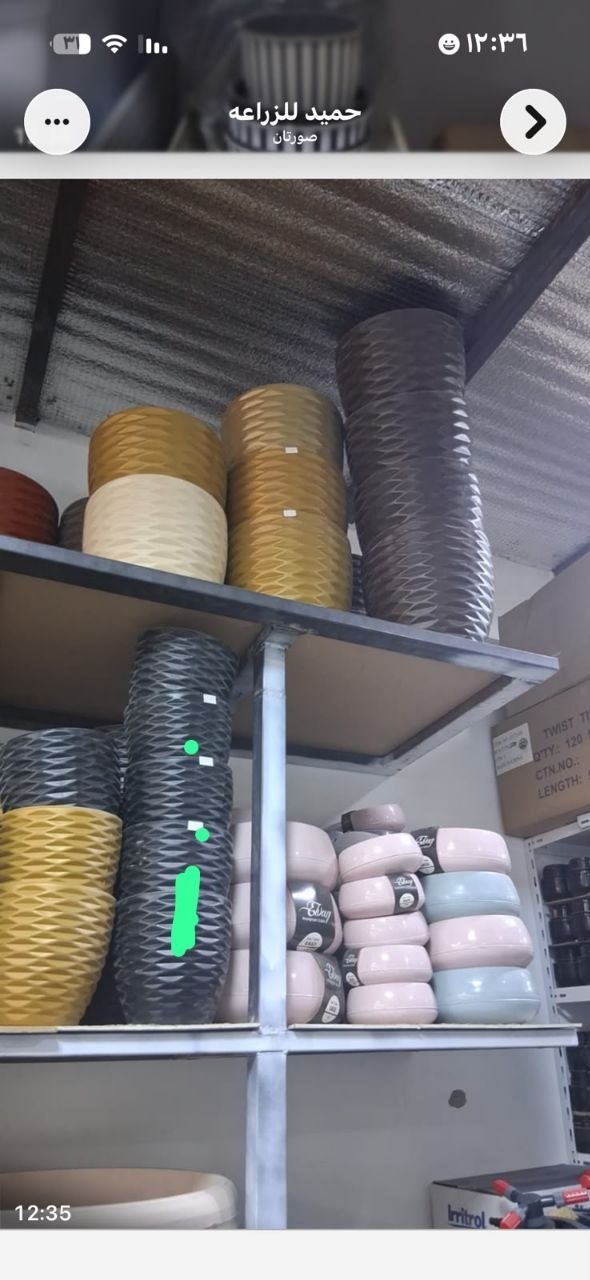 زهور طبيعية ملونة للبيع في الرياض