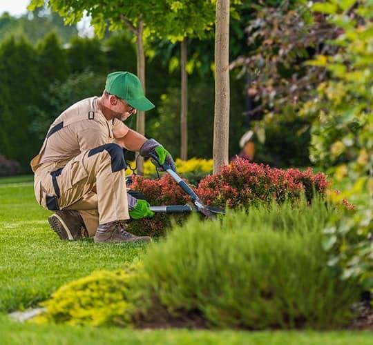 صيانة الحدائق وإعادة تأهيل المساحات الخضراء
